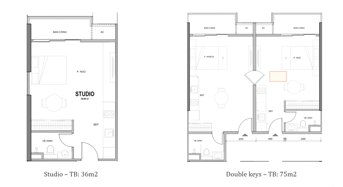 thiết kế căn studio và double keys
